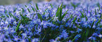 Springtime Roadhouse Blues 12-2 pm EDT