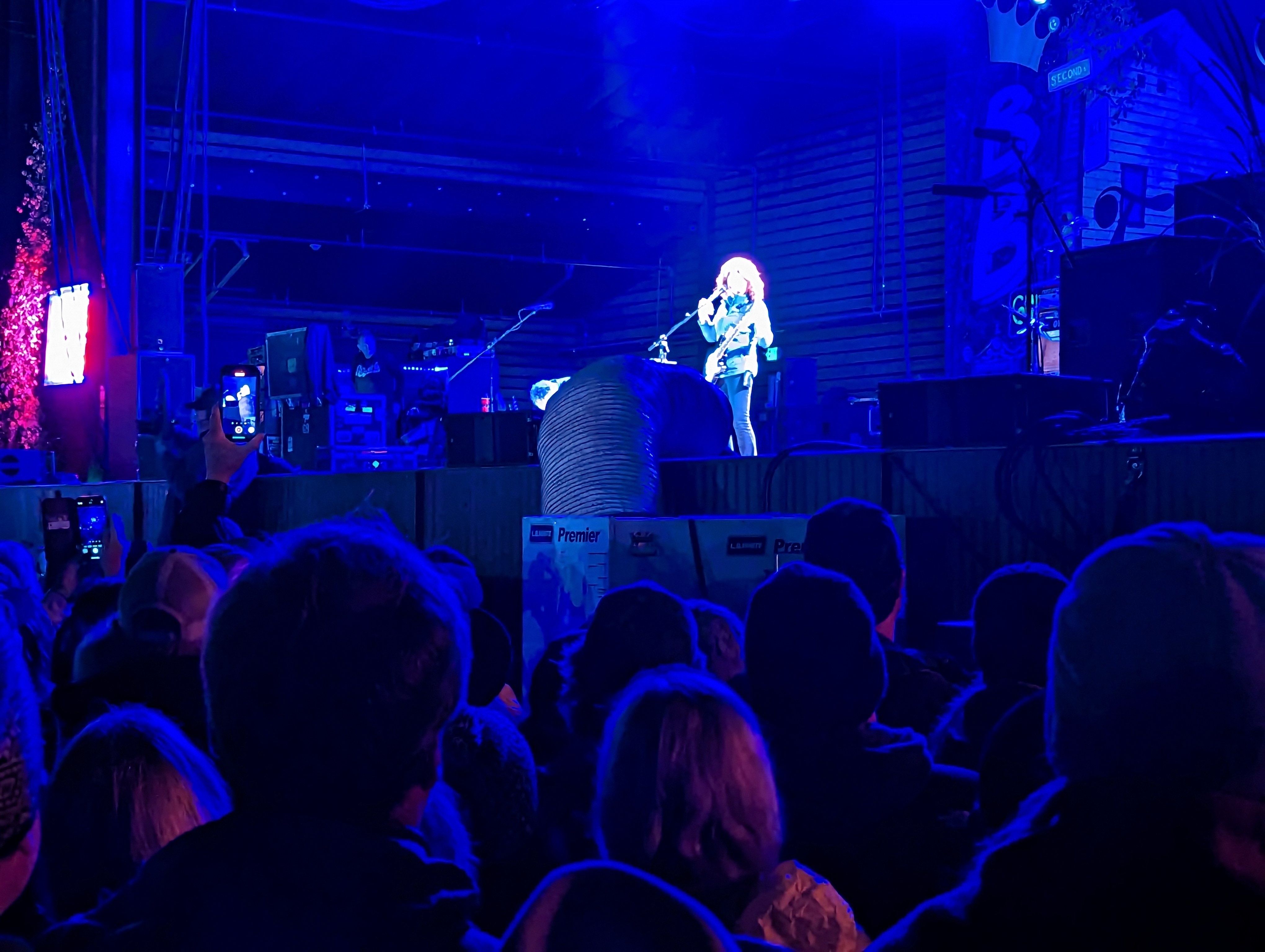 Steal My Contemporary Blues Playlists for your Station – PLEASE – And Help Me find the Elon Musk of the Blues!!